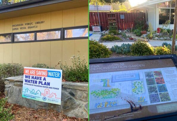 drought-tolerant plants and signs to conserve water