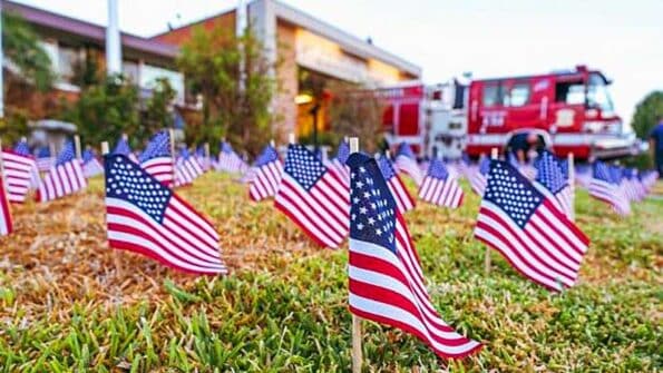 Small American flags on a lawn