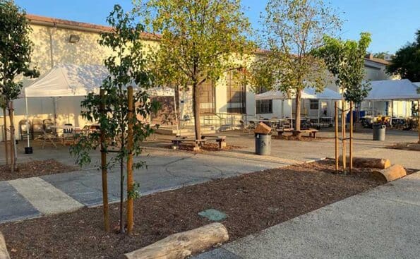 a parking lot turned greener with trees and tree logs for students to sit on
