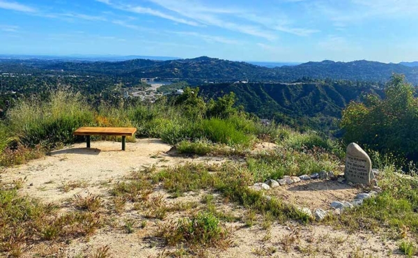 a graveside and a bench