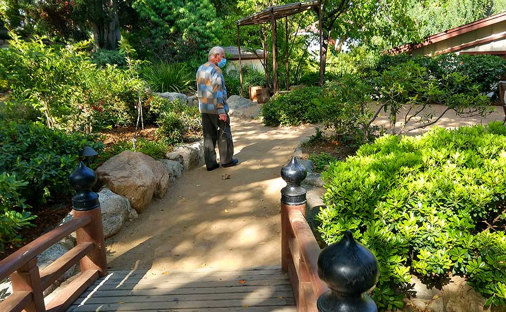 A man walking inside a garden