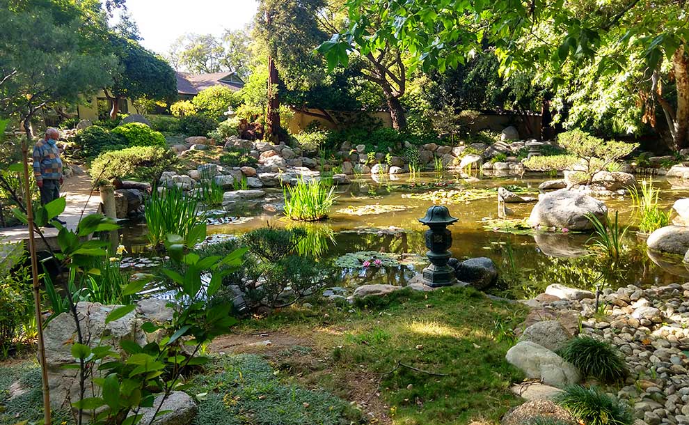 a Japanese garden with a pond