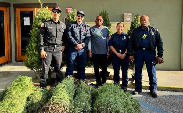 people gathering our donated holiday trees