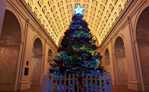 Christmas Tree in a hall