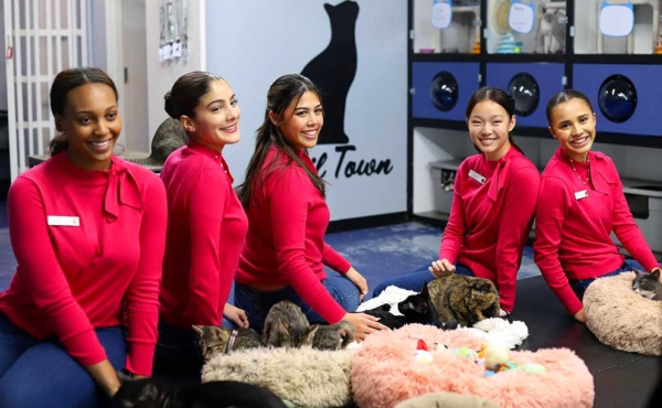 Girls sitting by cats on a sofa