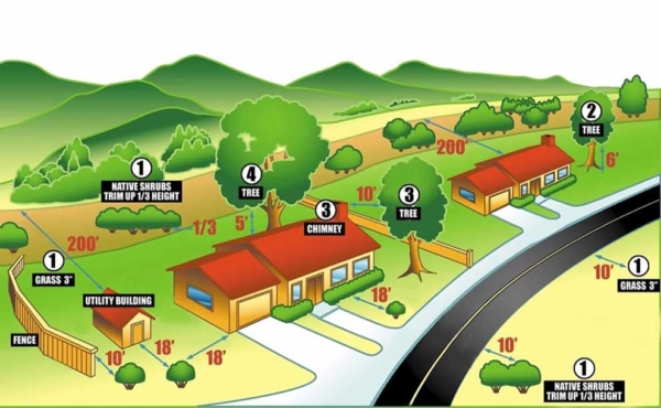 a diagram of a house with vegetation around it