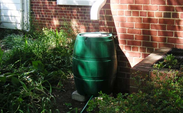 a rain barrel installed in a garden