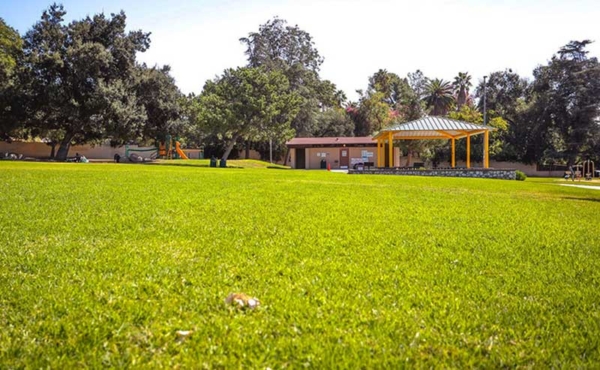 a park with a structure