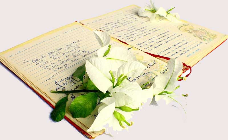 book with flowers on it