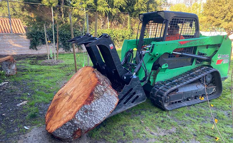 a small bobcat moving a log
