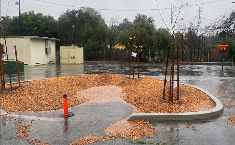 rain water captured by swales