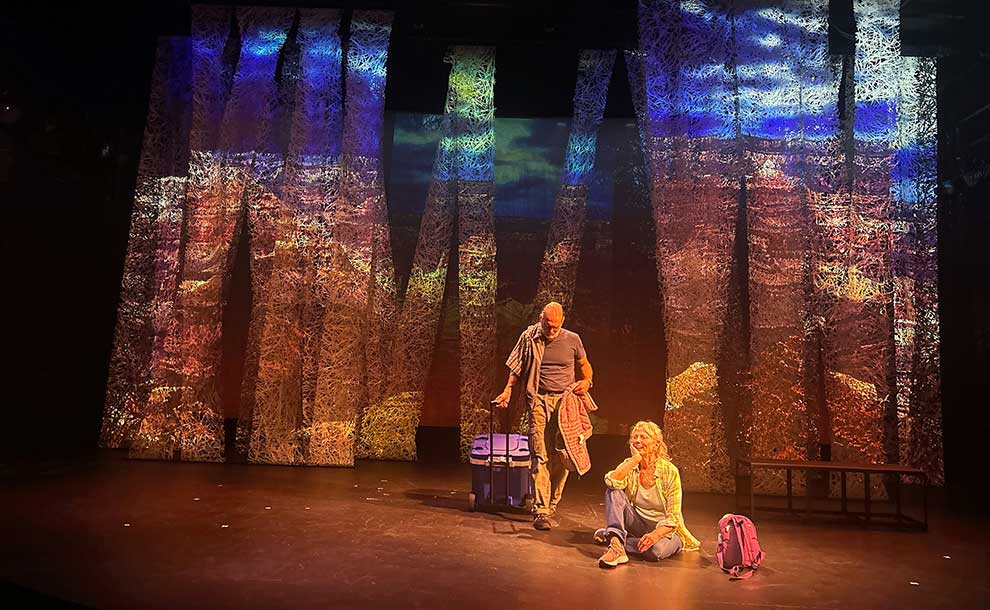 a man and a woman in a projected forest on columns behind them