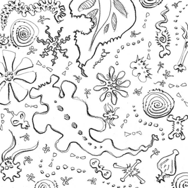 bacteria and other atoms