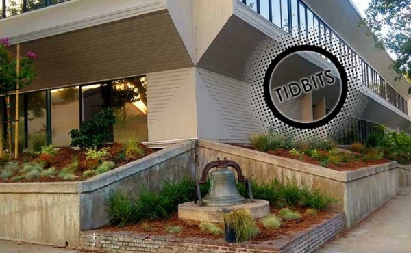 A building with the words tidbits