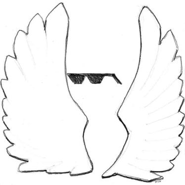 two wings and dark glasses