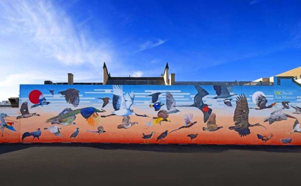 A mural of birds on a large wall