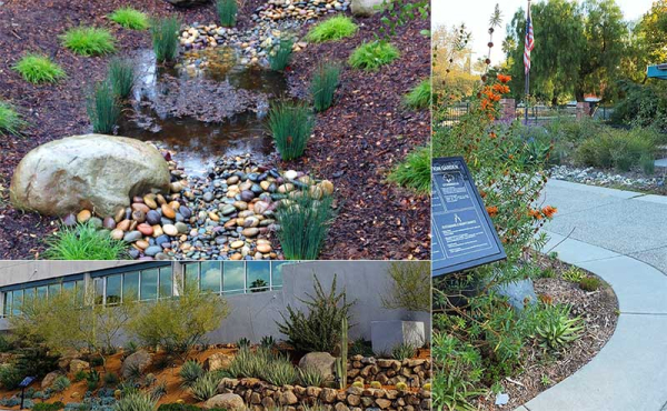 Businesses with native plants