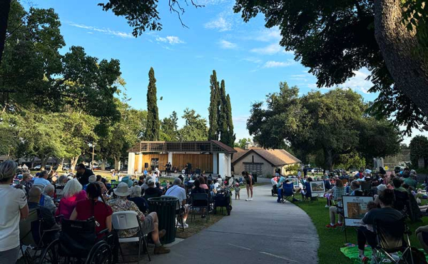crowd listening to music