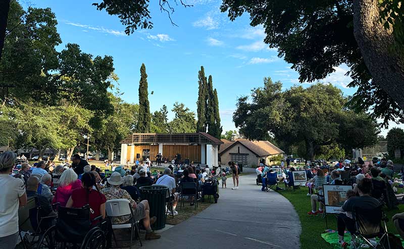 crowd listening to music