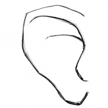 A contour of an ear