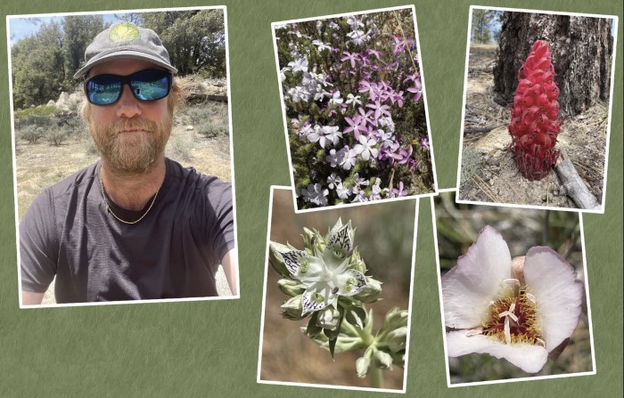 A man in sunglasses next to four types of wildflowers