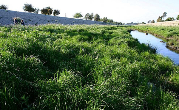 a storm drain in a river bed