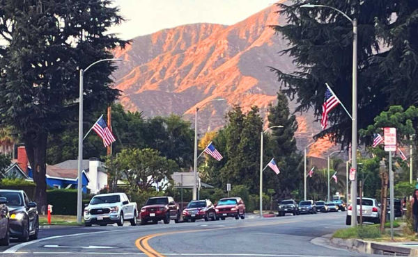 American flags on a street