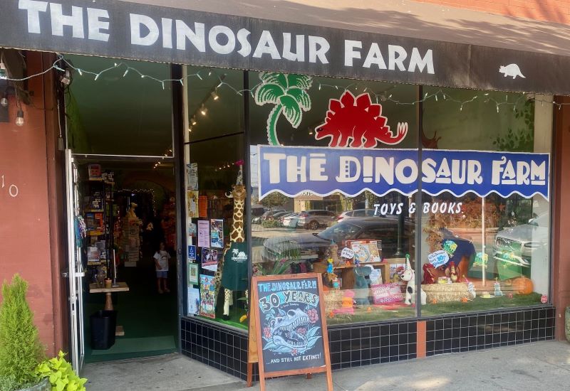 A store front window display