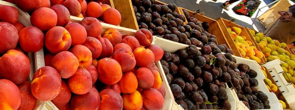 boxes of peaches and plums lined up on a table
