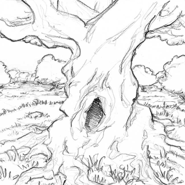 an old tree trunk with a hole in it