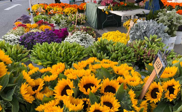 flowers at a market