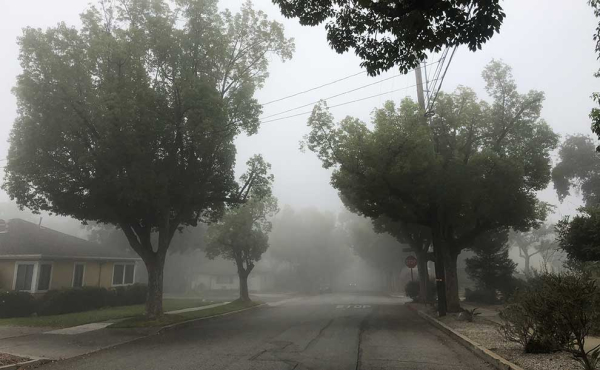 fog on a local street