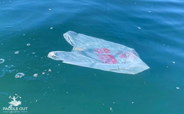 a plastic bag floating in water
