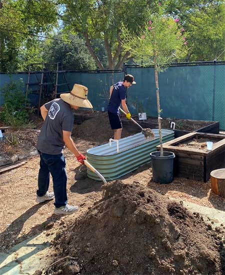 volunteers adding soil to the ground