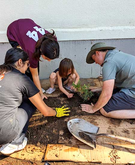 volunteers planting a bush