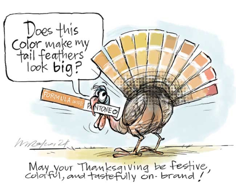 a turkey checking his feathers colors