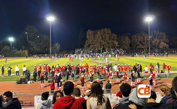 football players on the field