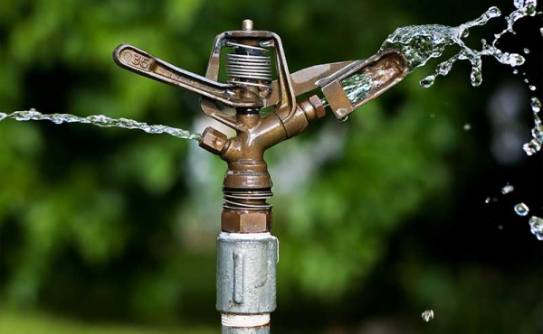 a sprinkler head spraying