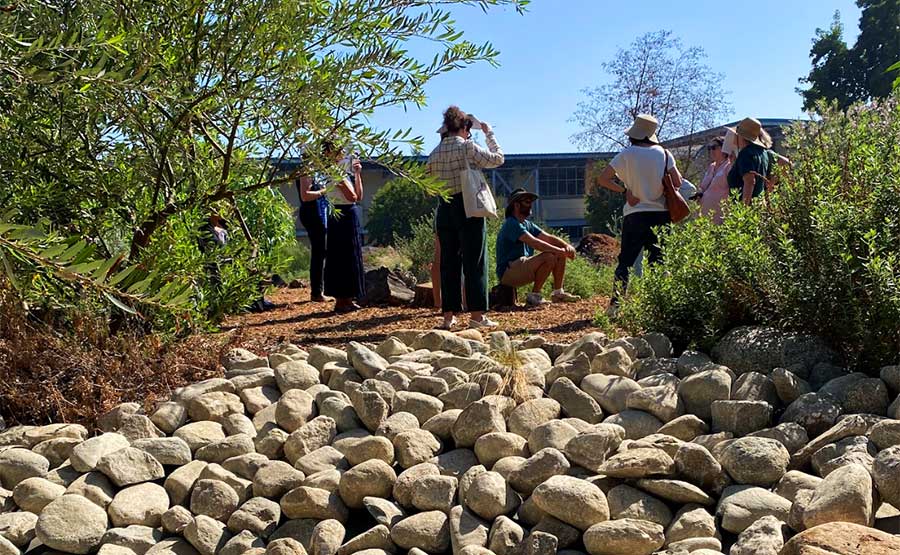 people by a bioswale