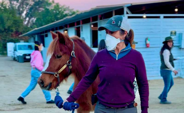 a horse and a caretaker