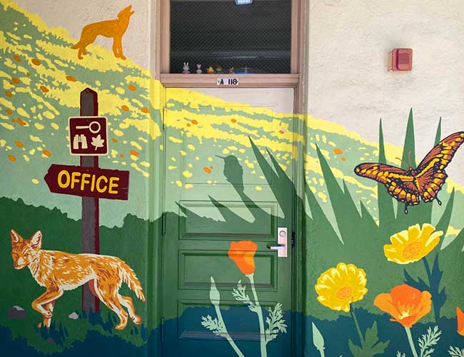 mural on a wall and a door