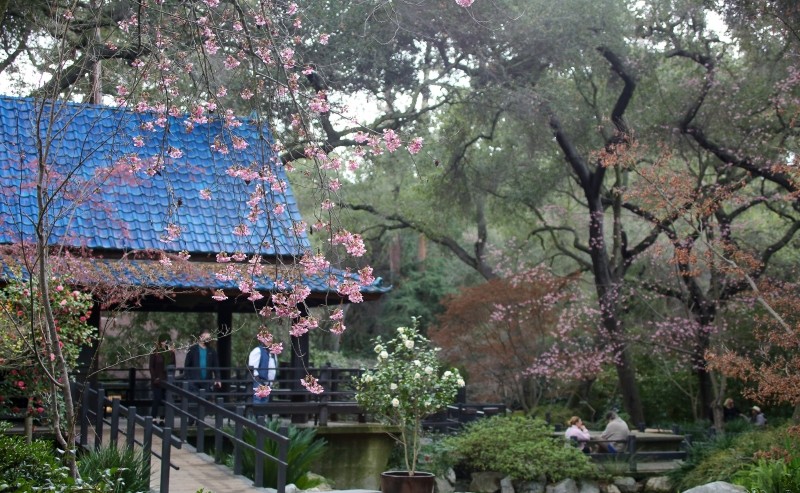 A garden and structure surrounding a lake