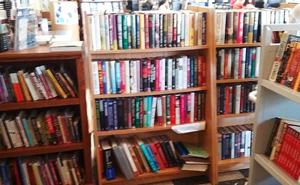 Shelves of used books