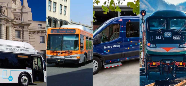 Local buses and trains