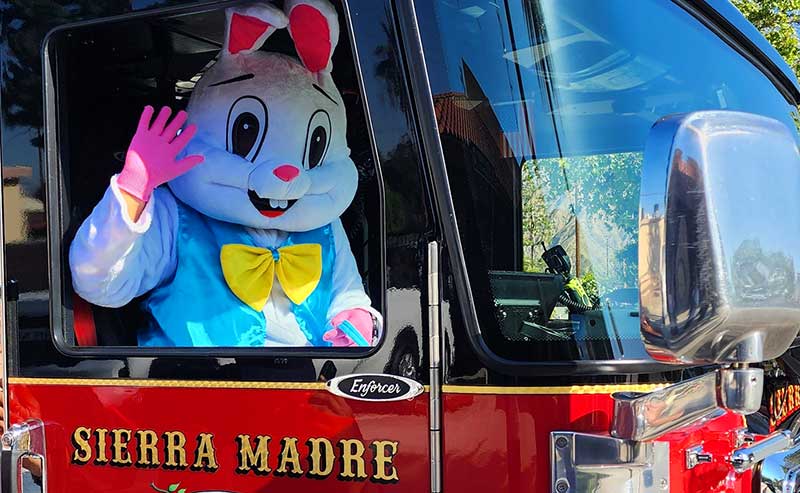 Easter bunny in a fire truck