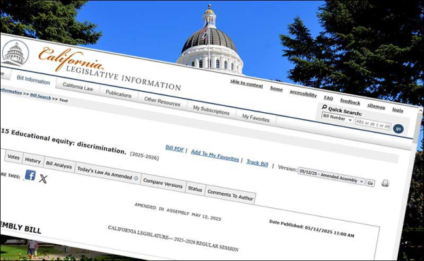 a screengrab of a bill