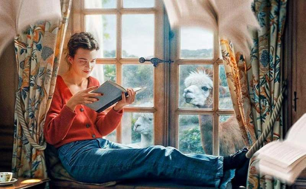 a woman reading by a window