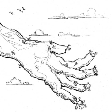 Fingers on hand blossoming