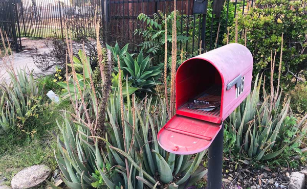 abandoned mailbox