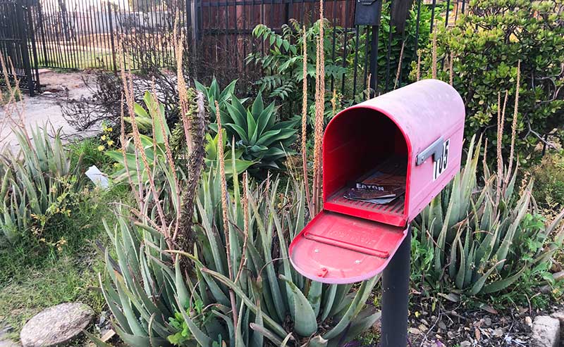 abandoned mailbox